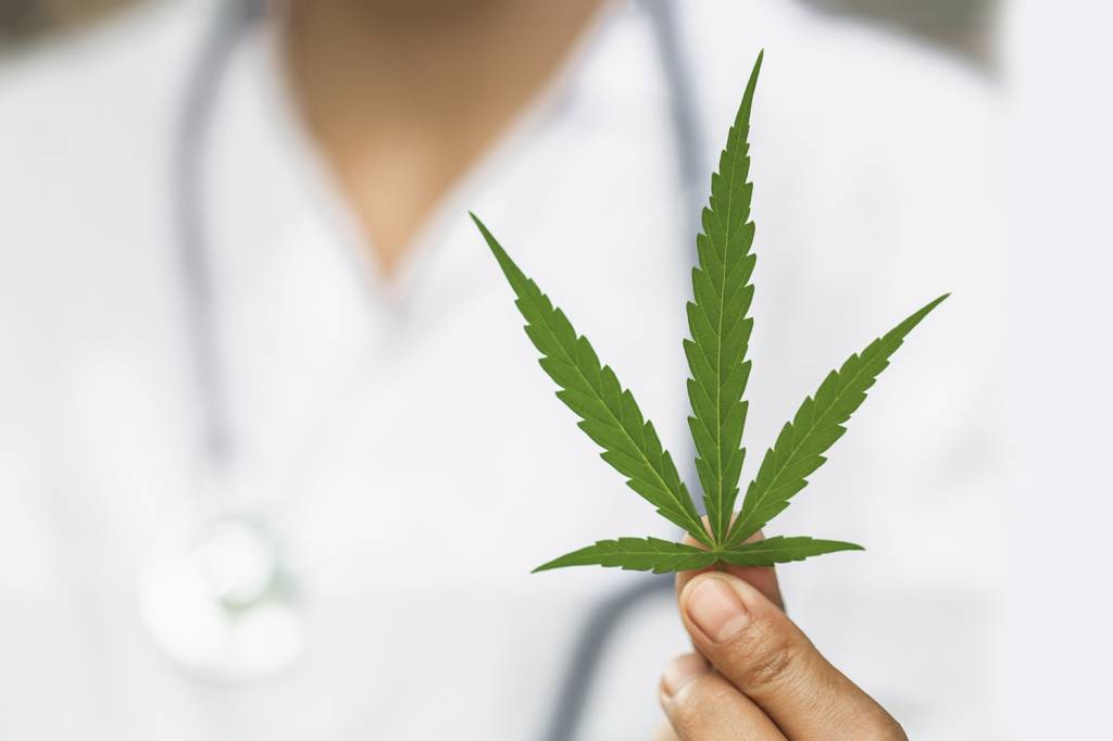 Ponto para a saúde: Fiocruz quer maconha medicinal no SUS