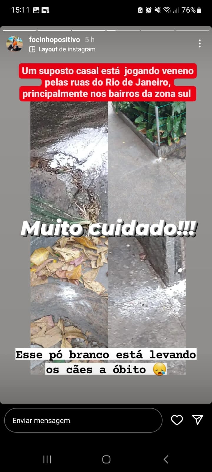 Polícia investiga denúncia de suposto envenenamento de cães na Zona Sul