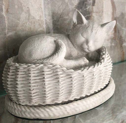 Jogados no lixo: como funciona o golpe da cremação de animais no Rio