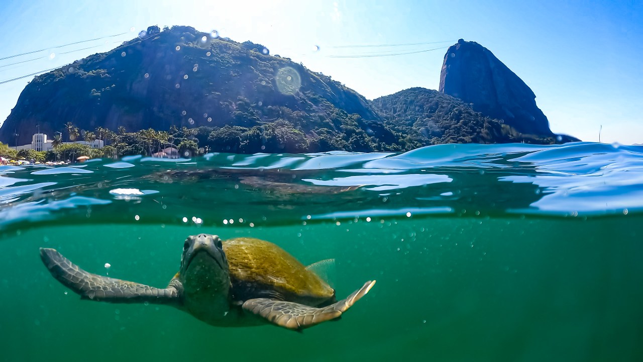 Praia Vermelha – Caio Salles