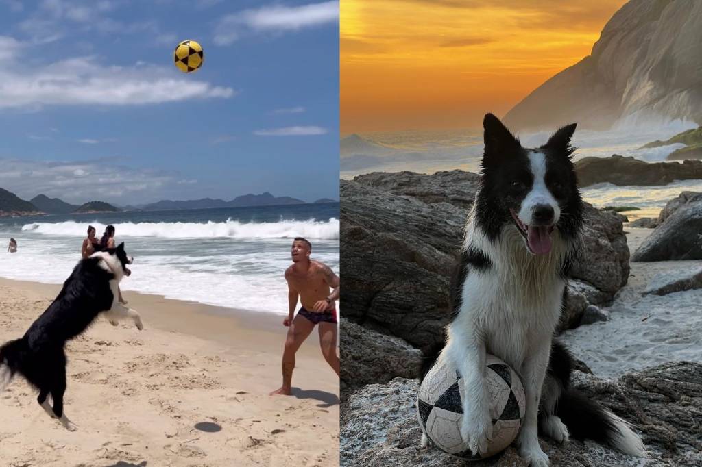Bom de “autinha”: conheça Floki, cachorro que viralizou ao jogar futevôlei