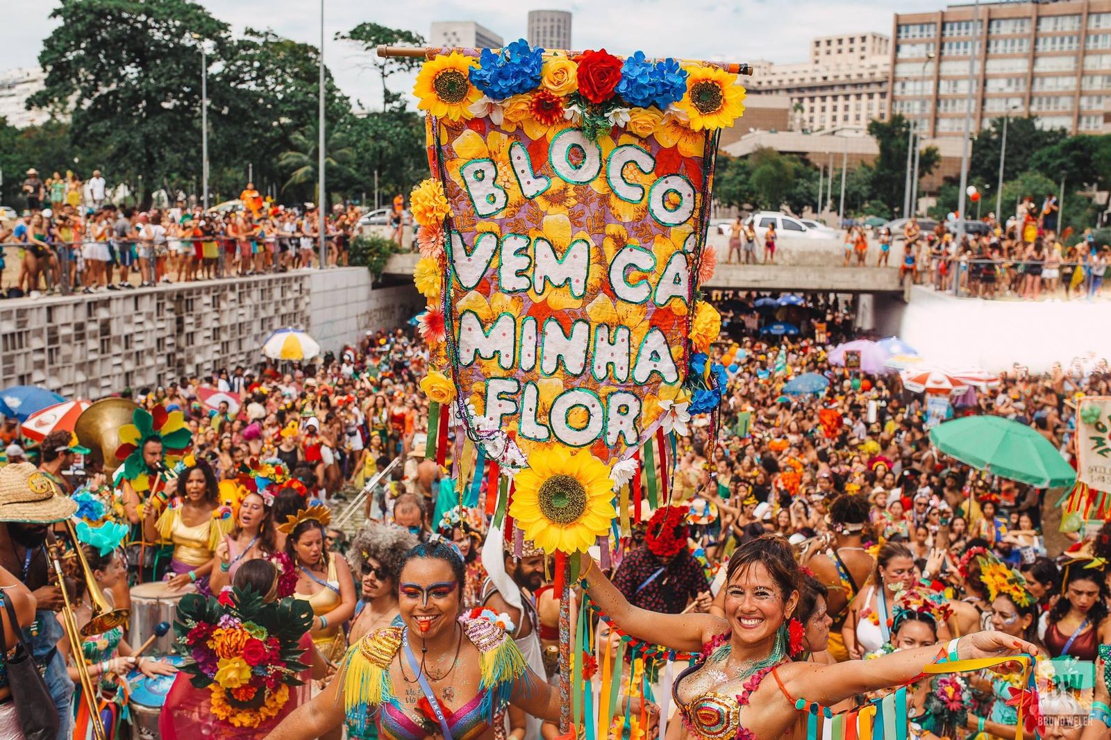 vem cá minha flor