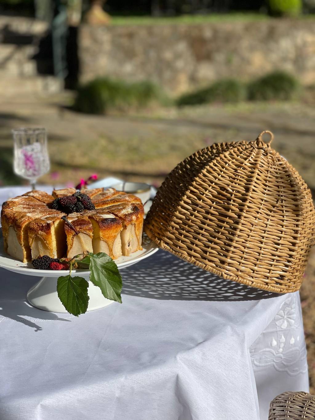 Vime: tecendo elegância sustentável