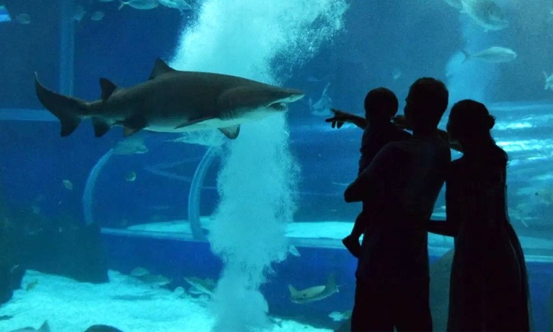Pessoas com Transtorno do Espectro Autista terão visita especial no AquaRio
