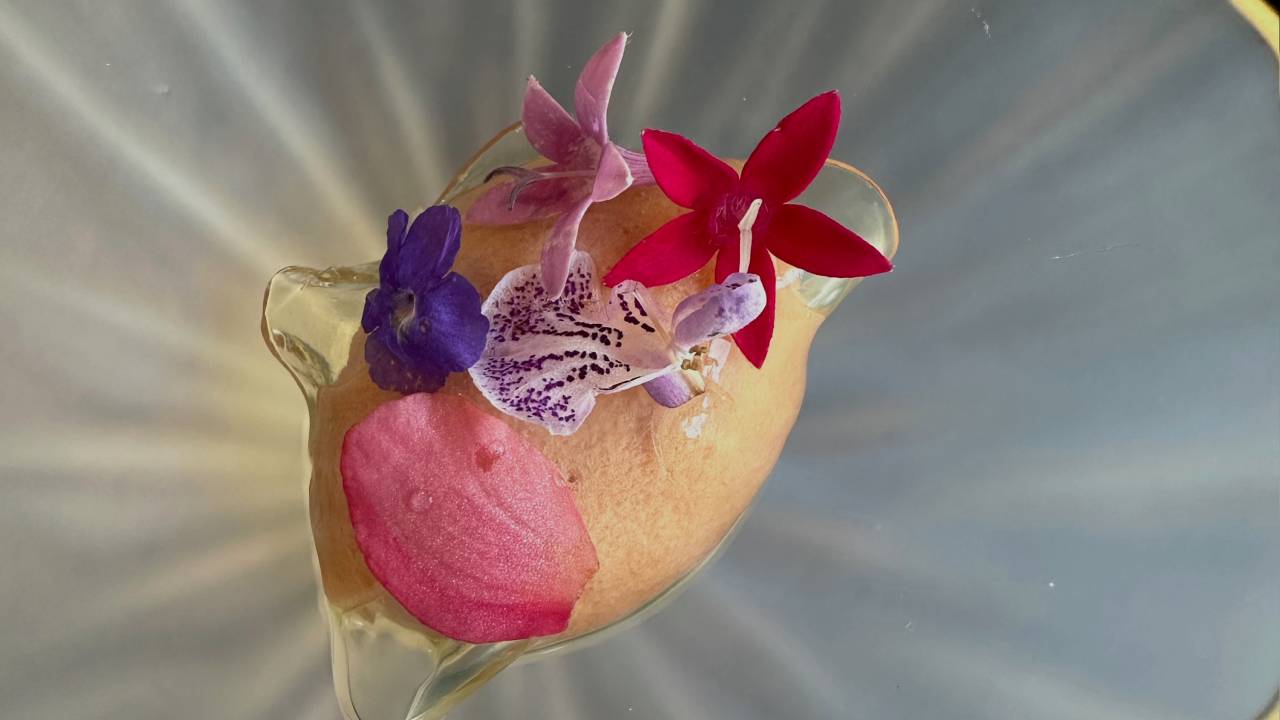 sorbet de ameixas com ameixa fresca e óleo de tomilho, sobre folha de gelatina de crisântemo e soja branca