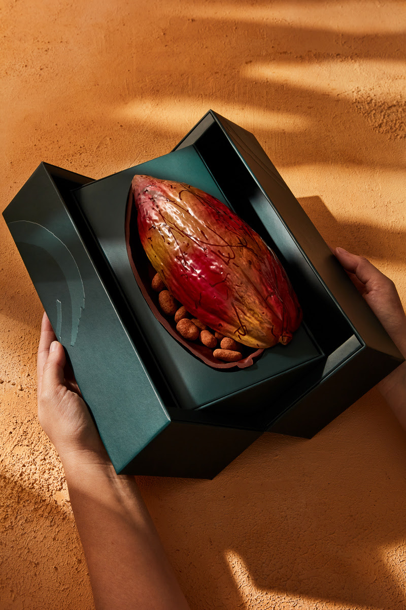 dengo Dengo: chocolate premiado amazônico e apuro visual