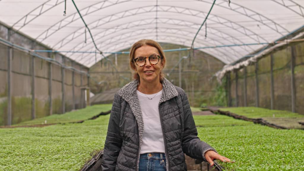 A língua que os chefs não falam