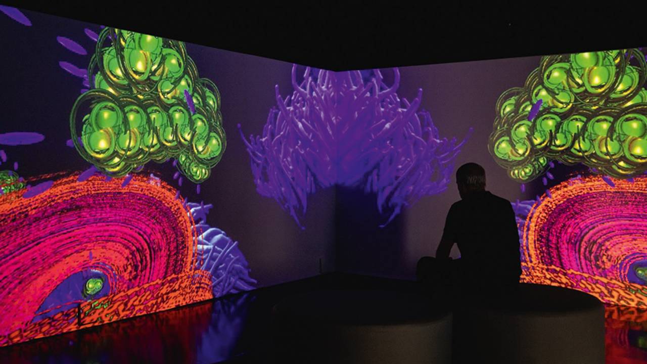 Meta Gallery