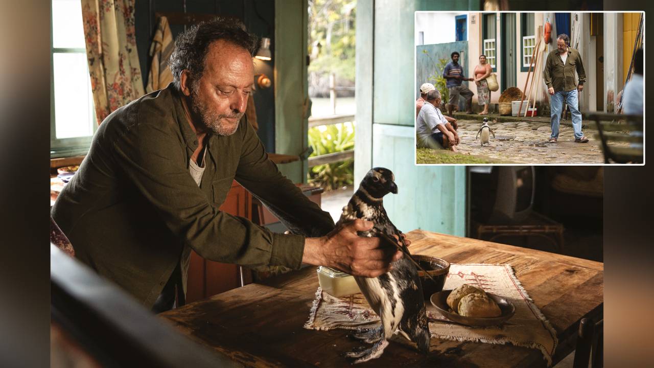 'Meu Amigo Pinguim': parte das cenas do filme foi rodada em Paraty