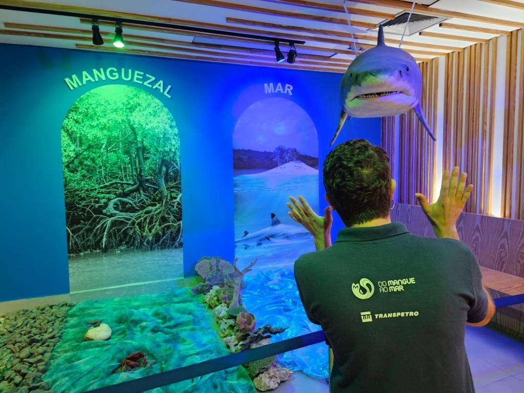 Exposição imersiva no AquaRio e mais programas para divertir as crianças