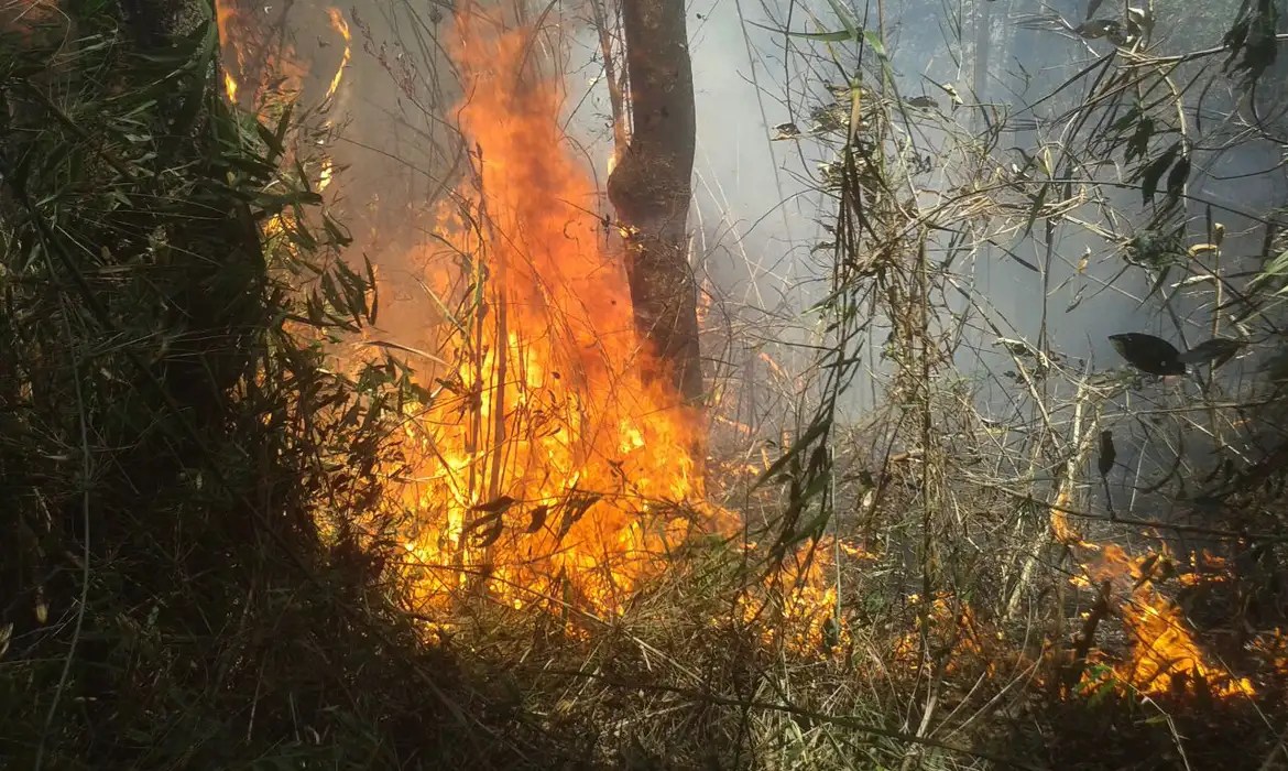 As ações da polícia para deter responsáveis por incêndios criminosos