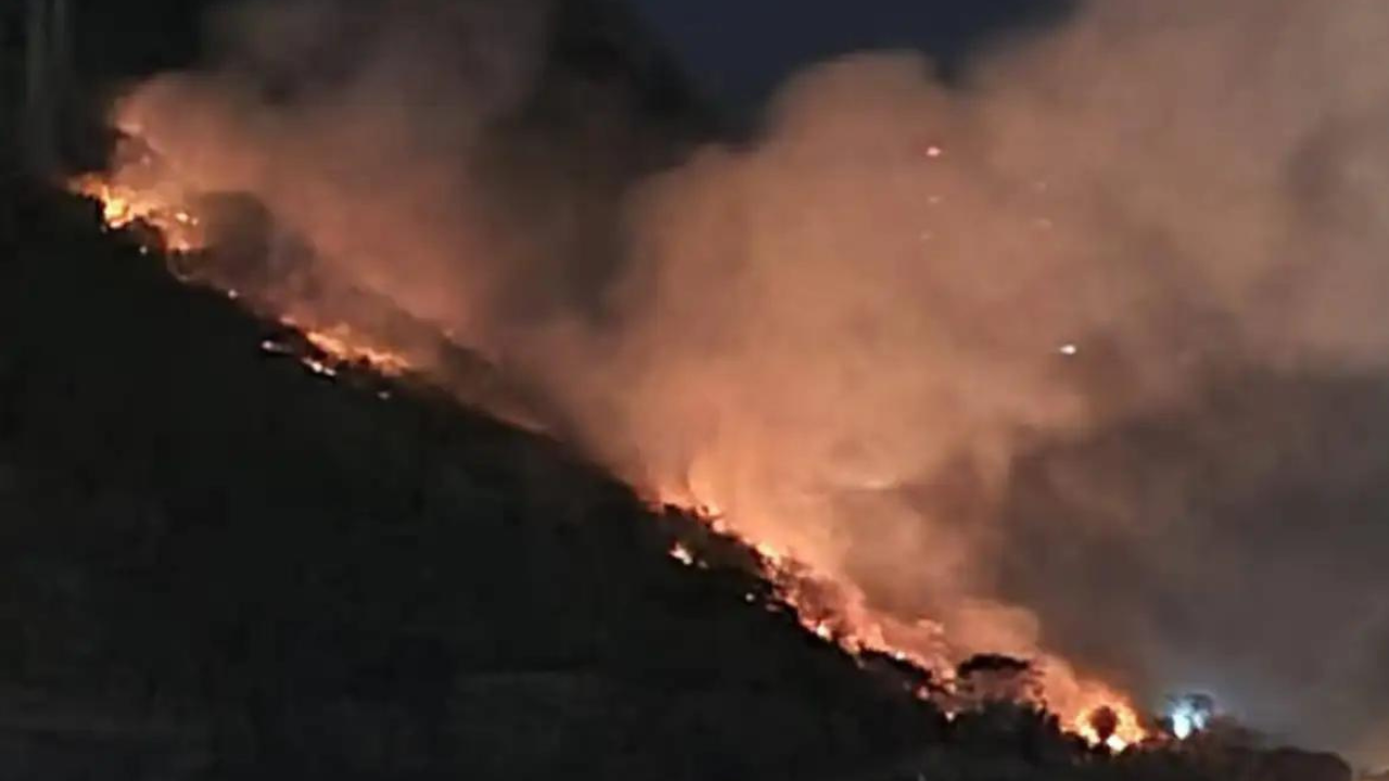 Incêndio na Floresta da Tijuca leva mais de 14 horas para ser combatido