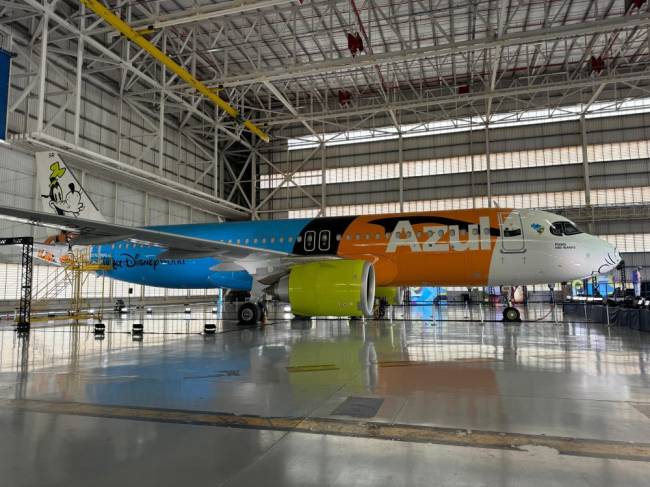 novo avião do pateta novo avião do pateta