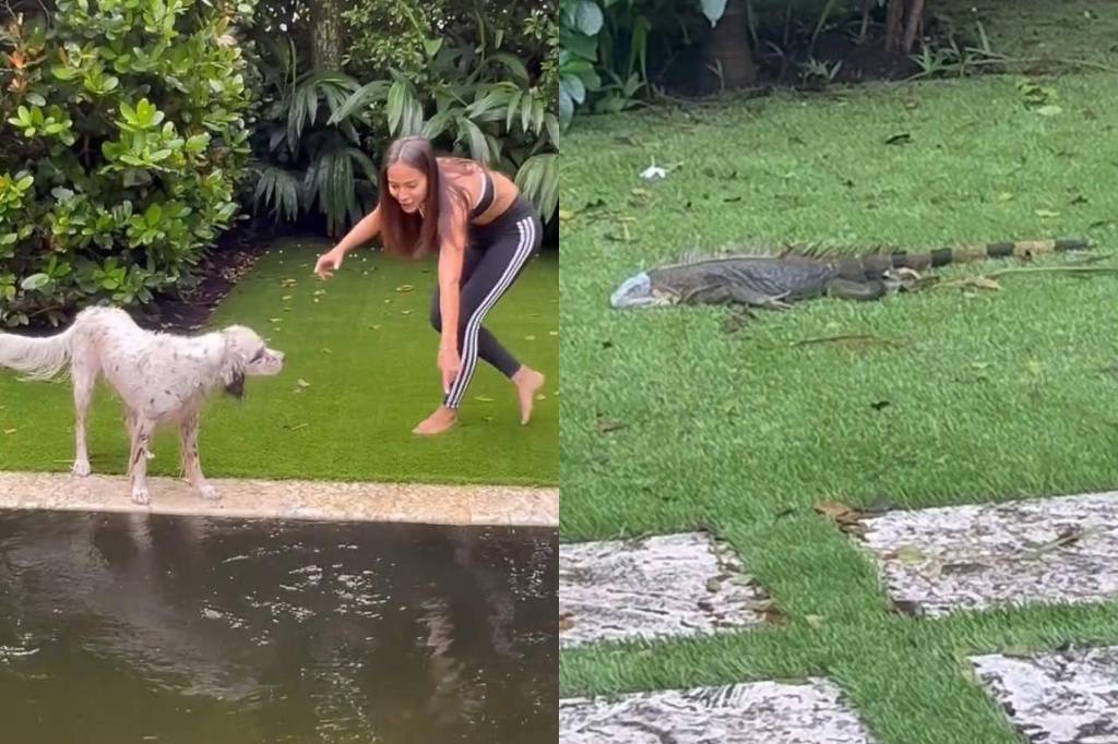 anitta-cachorro-iguana
