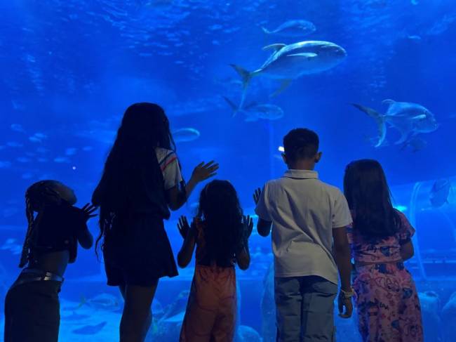 AquaRio crianças-aquario