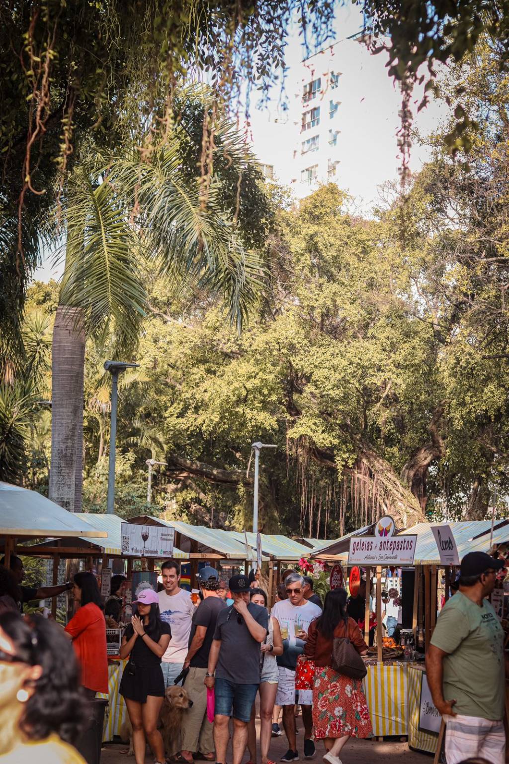 FEira-O-Fuxico—novembro2 FEira-O-Fuxico—novembro2