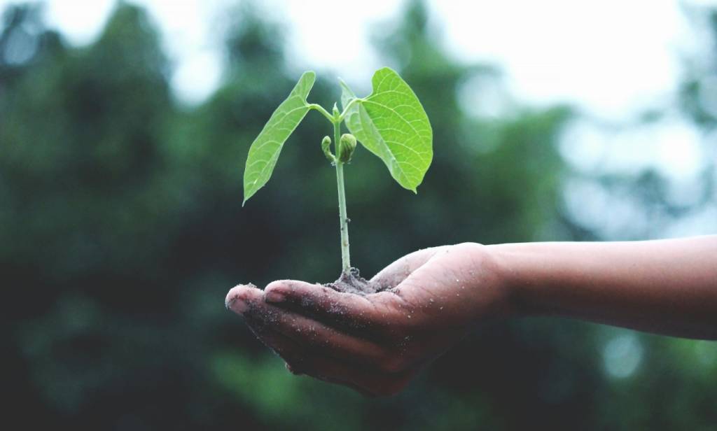 JW Marriott Rio recebe selo internacional de sustentabilidade