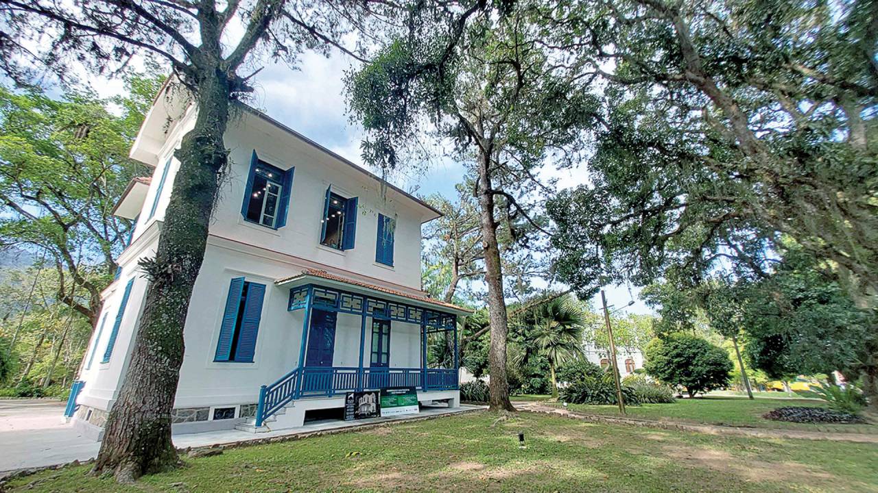 Rota do Chá — Botânica, Cultura e Tradição