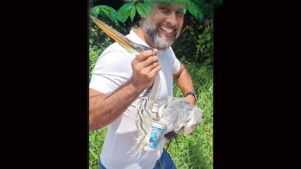 Resgate da garça do copo de plástico: veterinário comenta