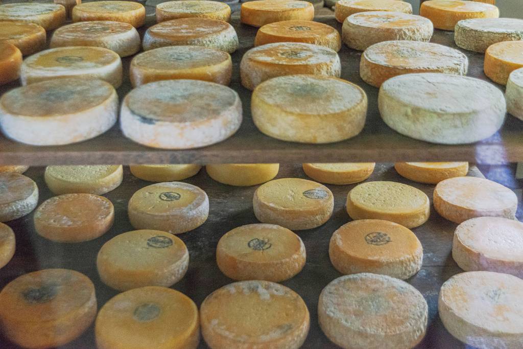 Gastronomia por Bruno Calixto, especial de férias Serra da Canastra