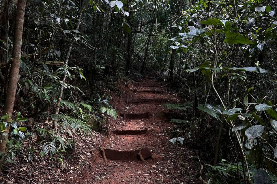 Como é a trilha centenária inaugurada no Parque Estadual dos Três Picos