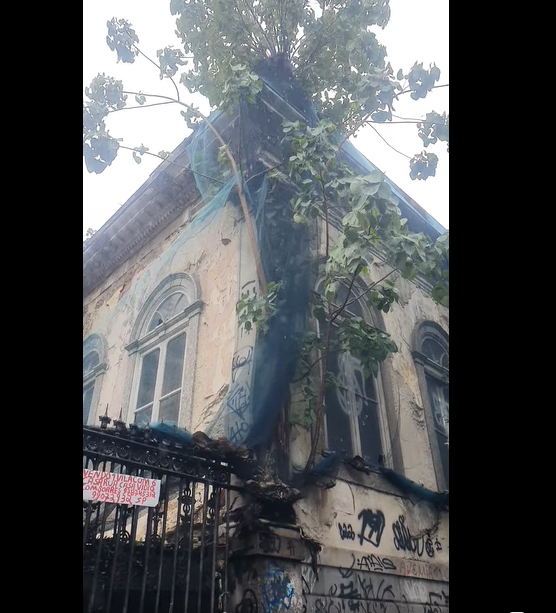 Palacete carioca tombado (um dos 1ºs do Brasil) ameaçado por árvore