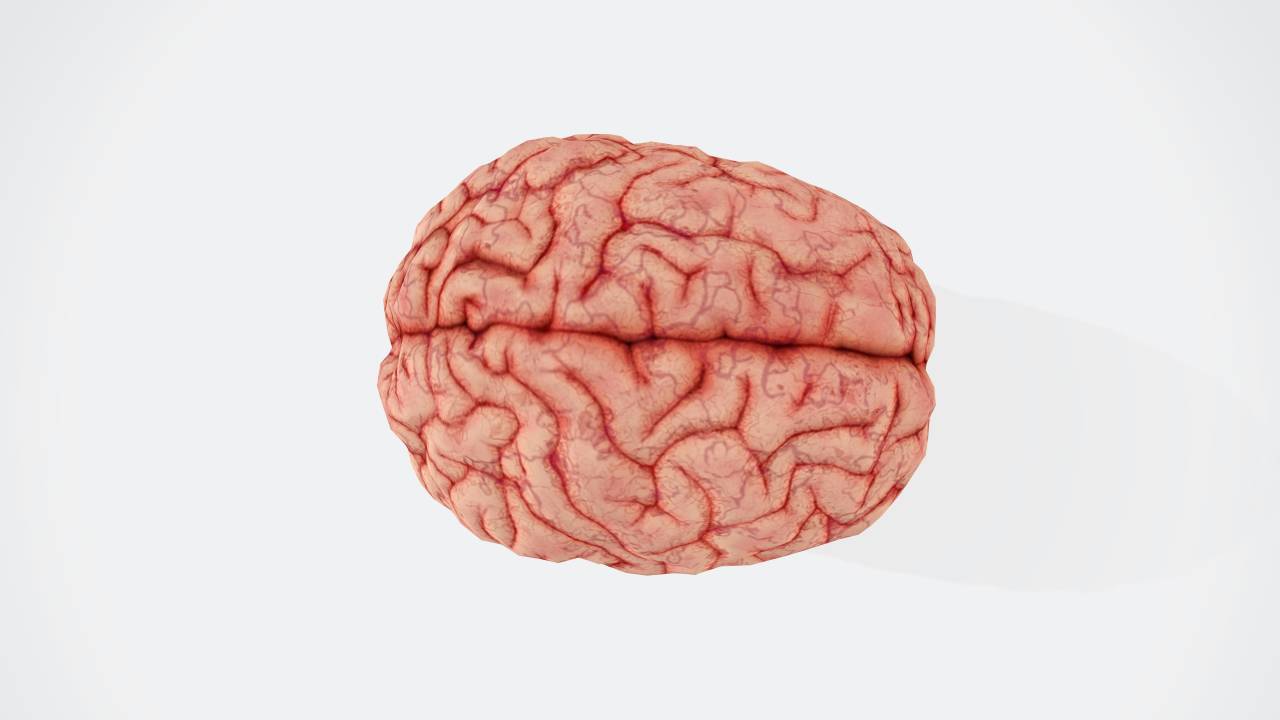 Eleita a palavra de 2024 pela universidade de Oxford, "Brain Rot" traz uma crítica intrínseca a forma como estamos consumindo informações na internet