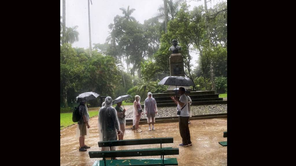 Creia: sob chuva intensa, muita gente deu as caras no Jardim Botânico