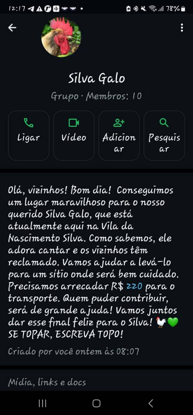 O grupo criado por Decca Braga para arrecadar dinheiro e transportar Silva