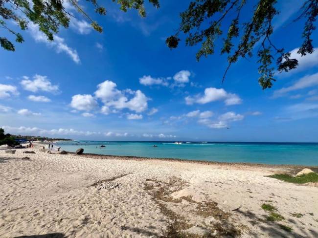 eagle beach aruba eagle beach aruba
