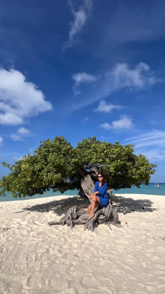 eagle beach aruba eagle beach aruba
