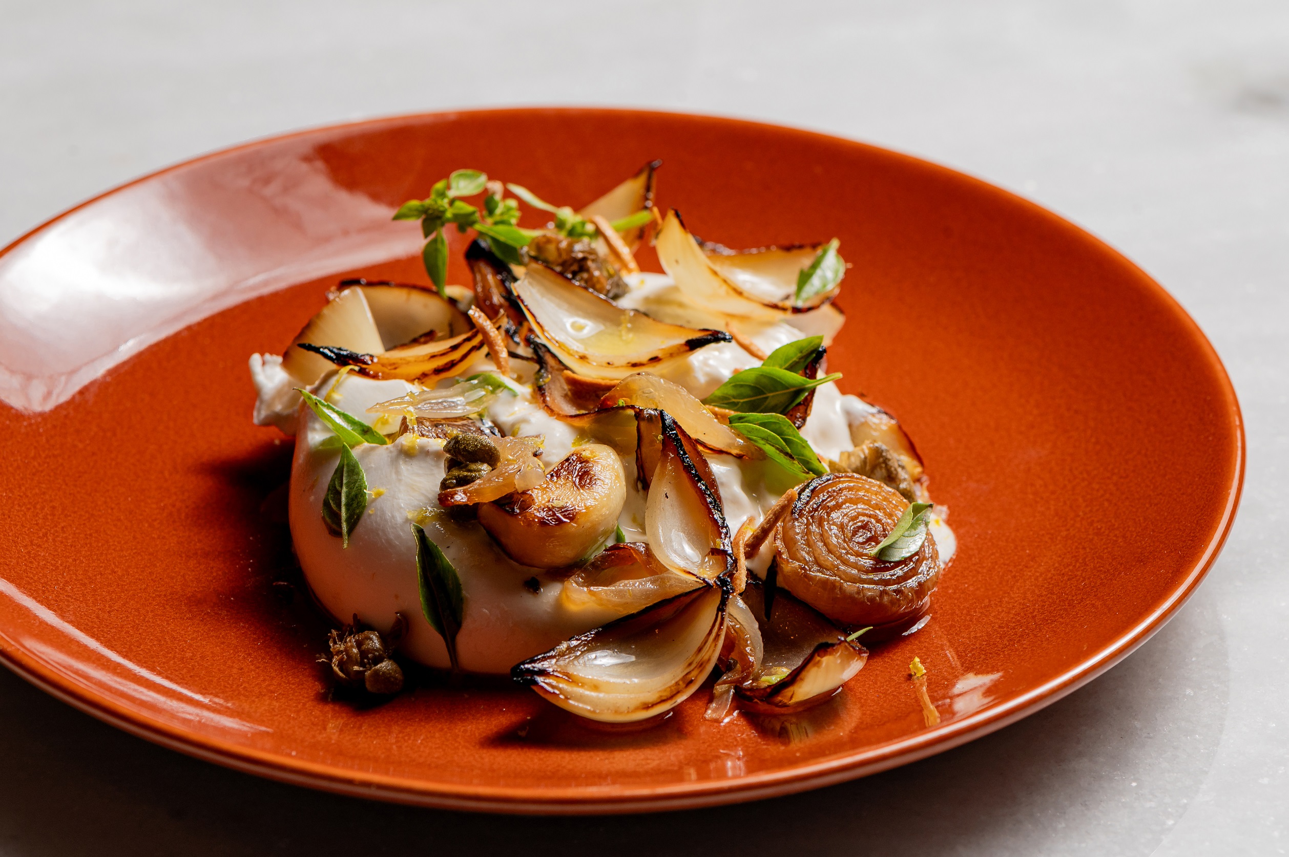 Brota: burrata no azeite com cebolas caramelizadas