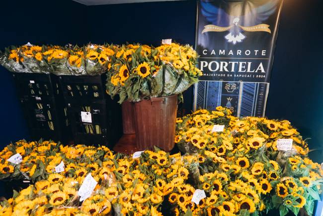 CamarotePortela-1 1500 girassóis serão distribuídos no espaço VIP do setor 3
