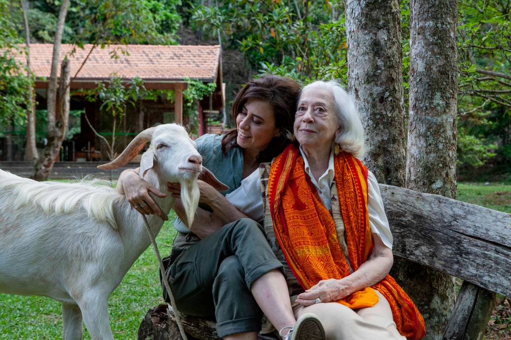 Férias merecidas! Refúgio de Fernanda Torres pós-Oscar fica em Petrópolis