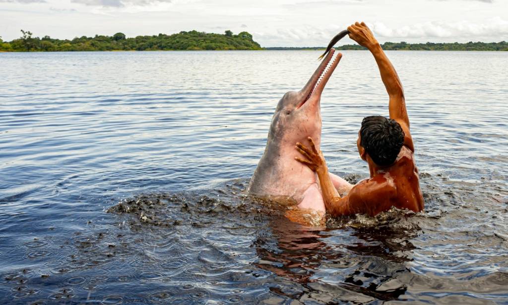 Swan Hellenic terá cruzeiro no Rio Amazonas em segundo ano no Brasil