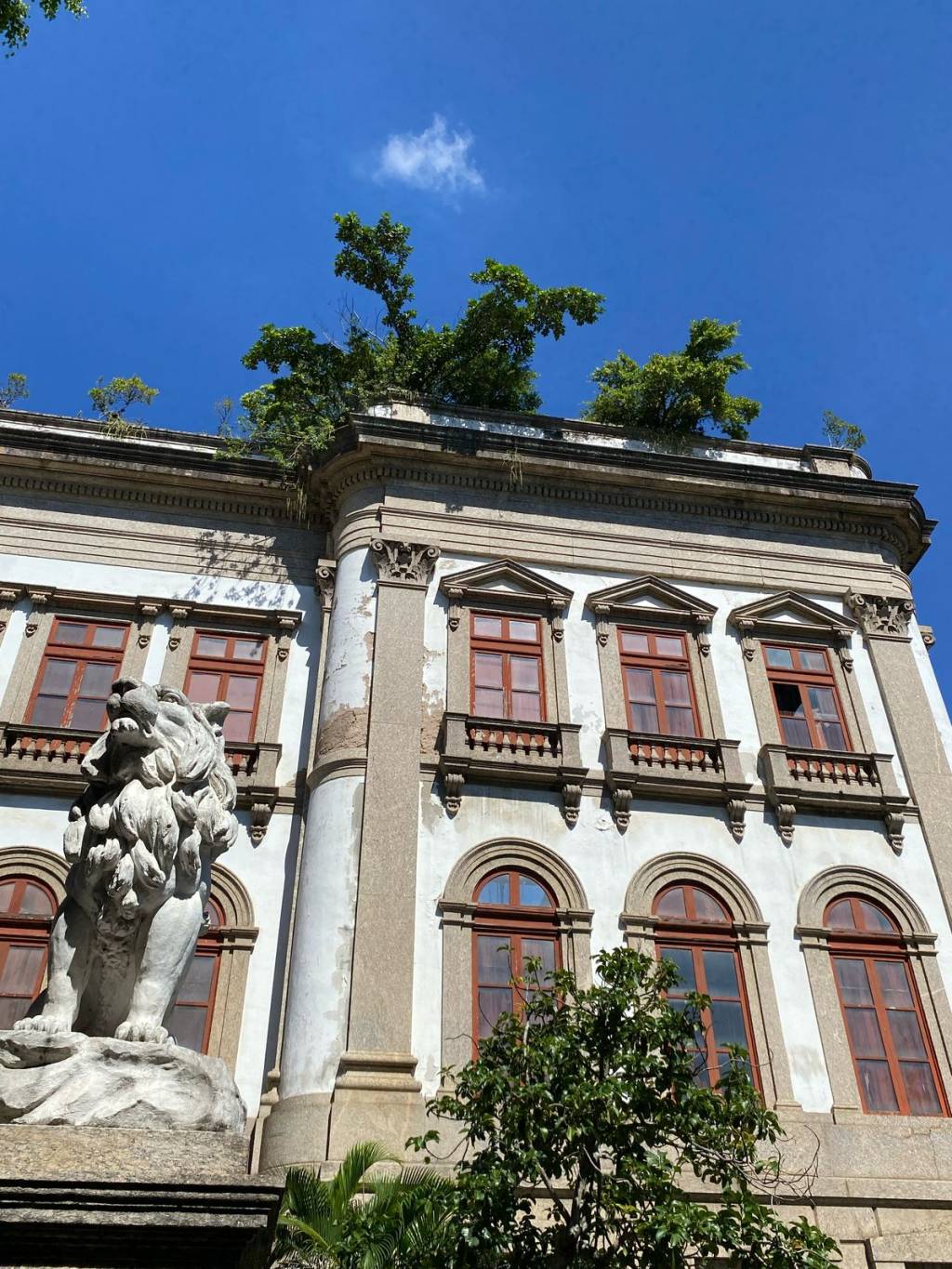 Árvores crescem no destelhado prédio do Palácio da Geologia, na Urca