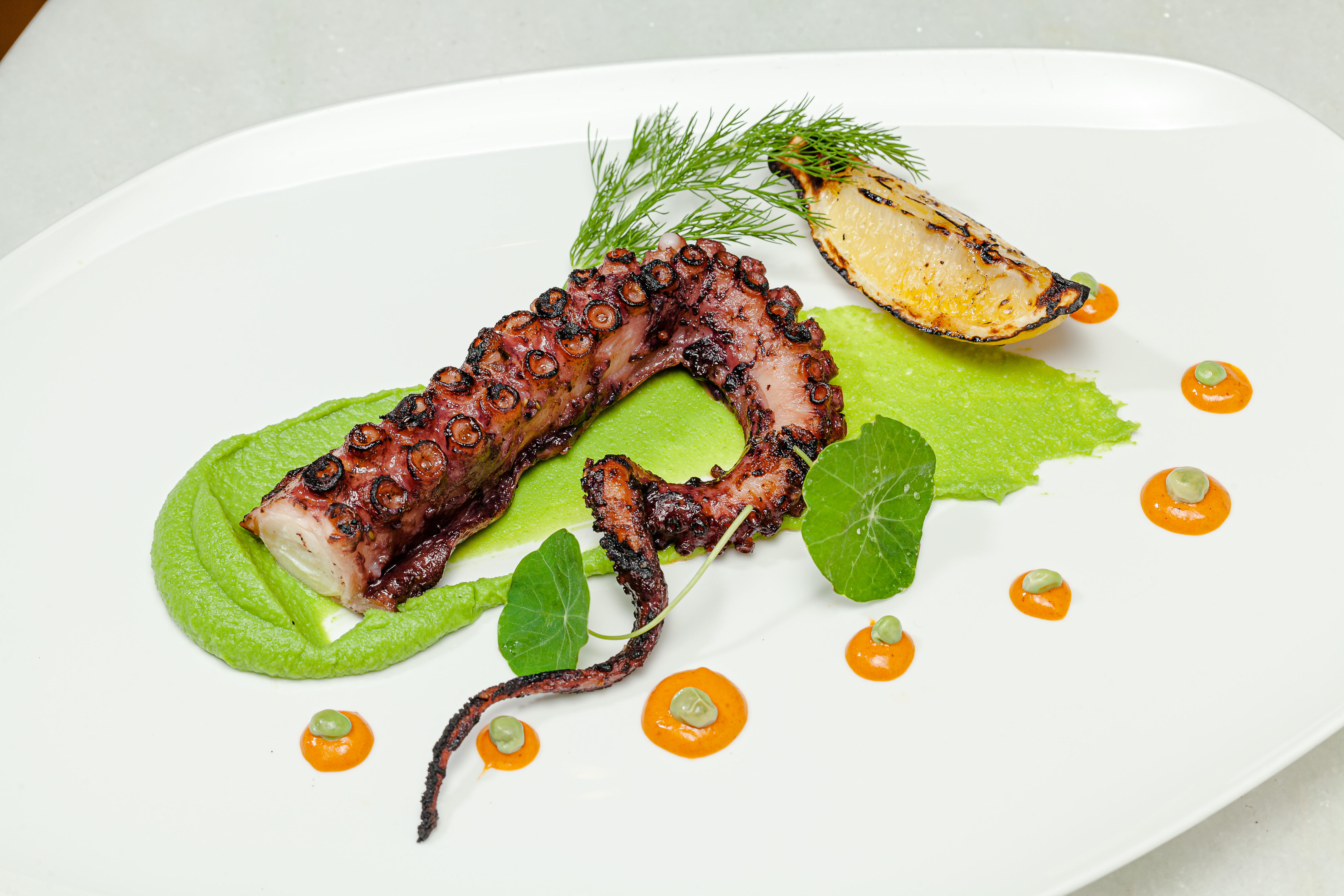 Marine: cole&ccedil;&atilde;o de receitas de terra e mar inclu&iacute;das na experi&ecirc;ncia