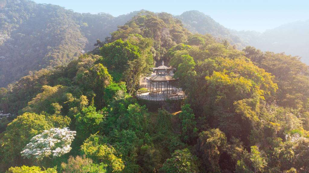 Sete atrações imperdíveis no Parque Nacional da Tijuca