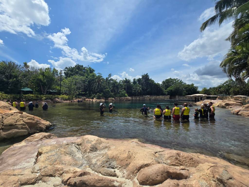 Discovery Cove: um dia diferente em Orlando para curtir com a família