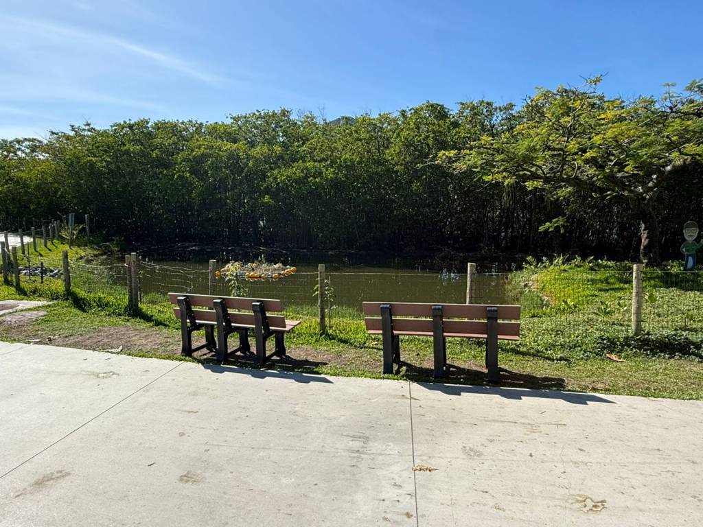 Ideias de Mario Moscatelli tomando forma na Lagoa