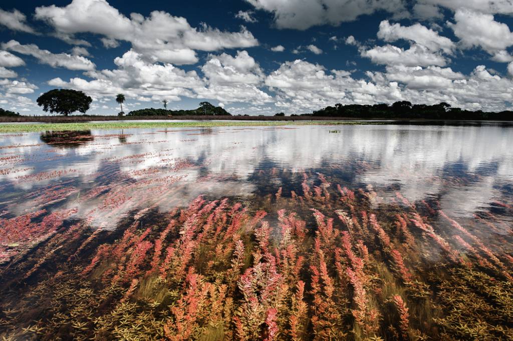 Luciano Candisani, de Água Pantanal Fogo.jpg museu-do-amanha