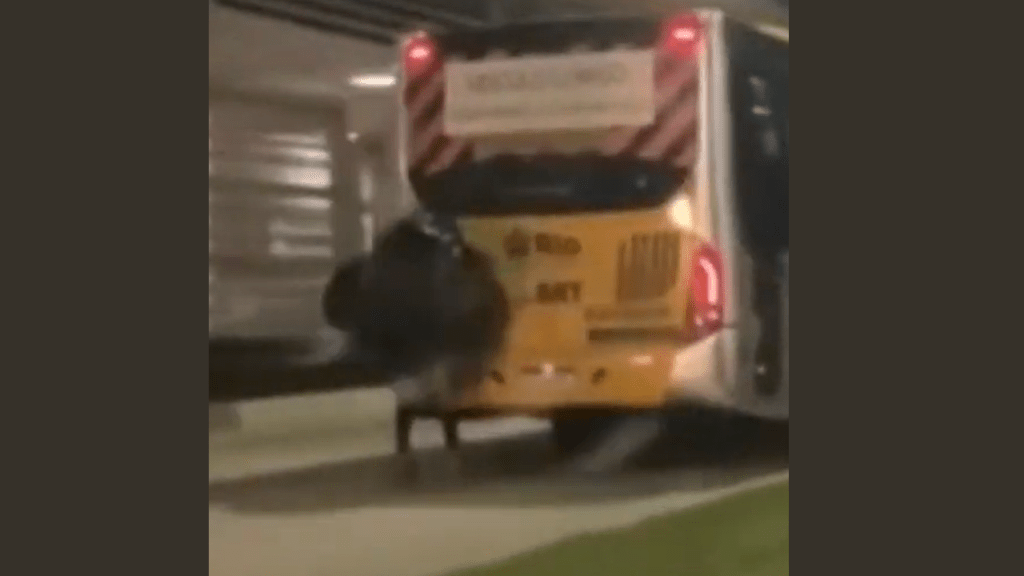 Só no Rio de Janeiro: homem de patins pega ‘carona’ em BRT