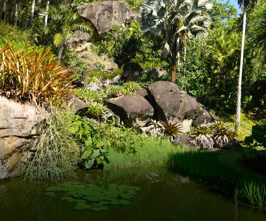 País tropical: mais de 3 500 espécies de plantas raras, nativas e exóticas permeiam os jardins de Burle Marx