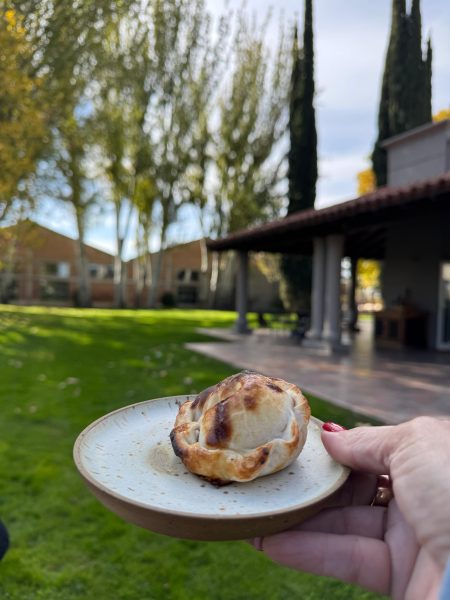 empanadas terraza de los andes empanadas terraza de los andes