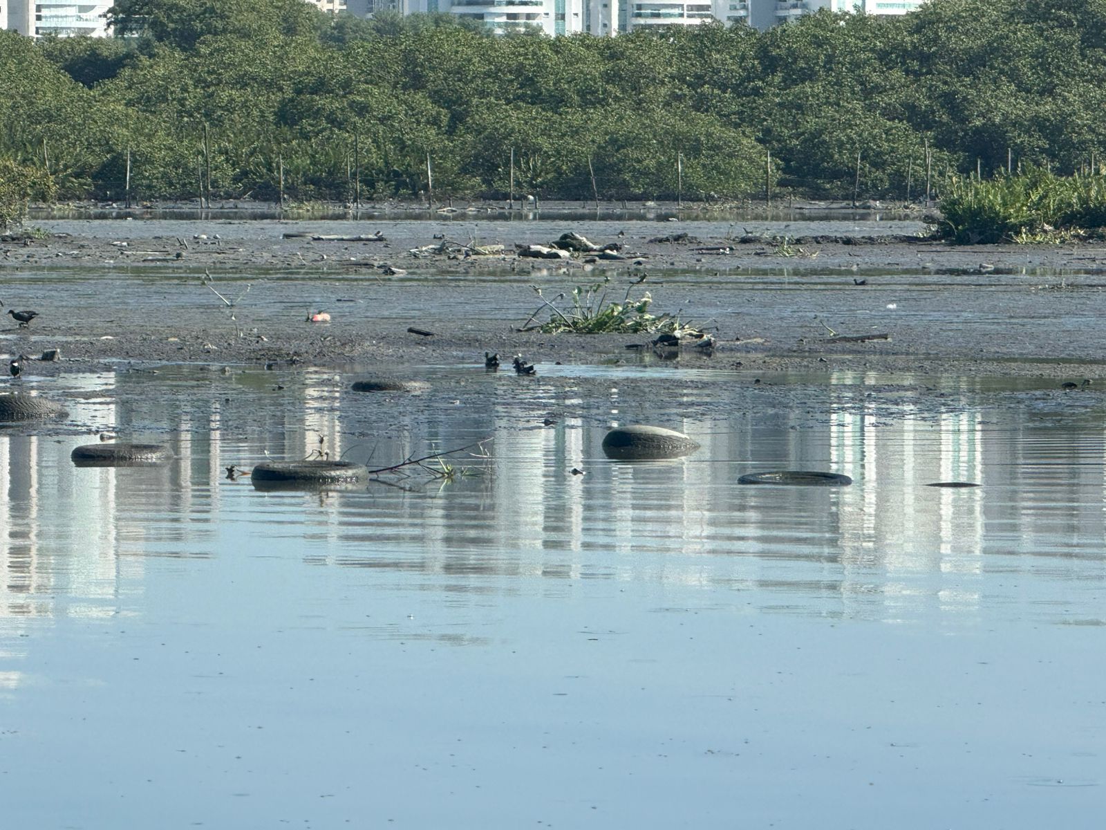 “Pneulândia”: um problema crônico nas lagoas cariocas