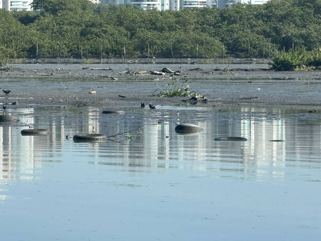 “Pneulândia”: um problema crônico nas lagoas cariocas