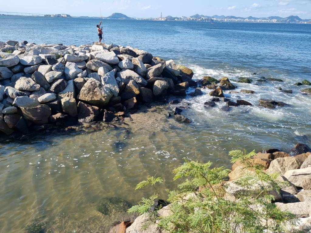 Gatos na Zona Sul: Águas do Rio já emitiu quase 15 milhões em multas