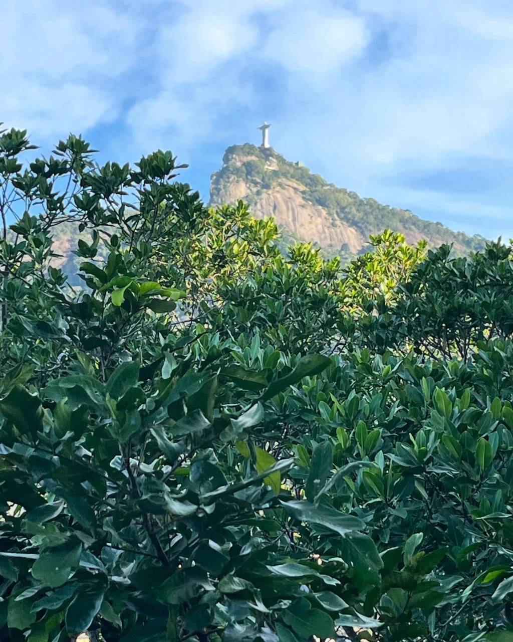 Rafael Bokor: Edifício Silvestre, exemplo de estilo moderno de Santa