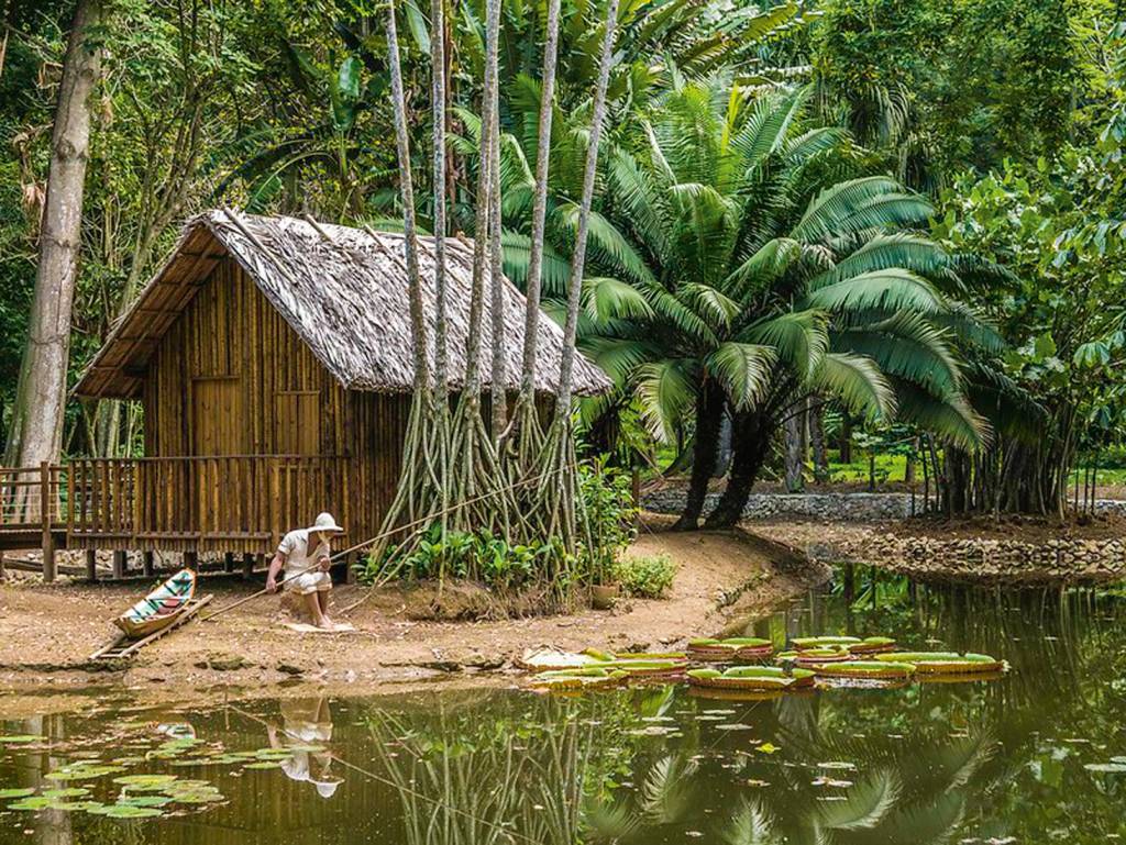 Oásis carioca: novidades para curtir no Jardim Botânico