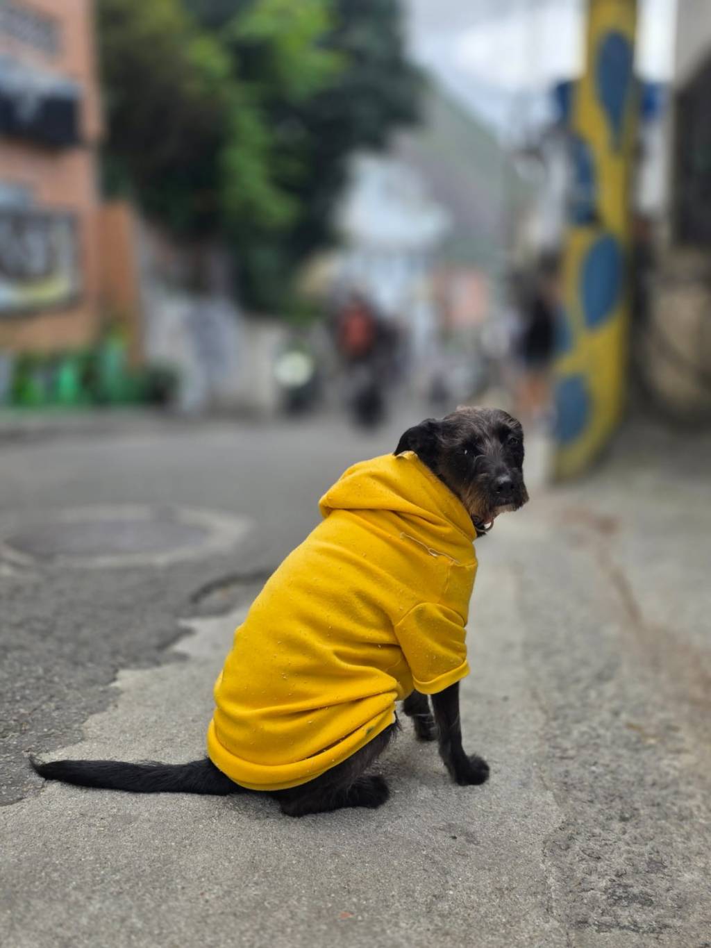 O cenário meio-apocalíptico-meio-bucólico desta terça 